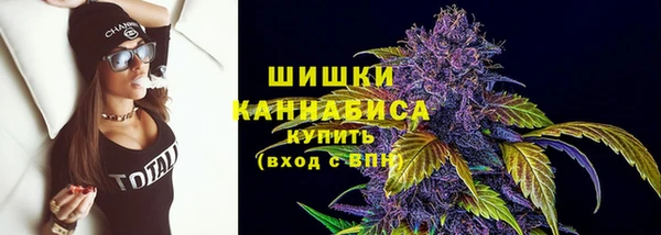 ешки Новозыбков