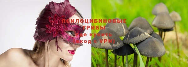 гидропоника Нефтегорск