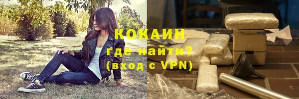 дживик Новодвинск