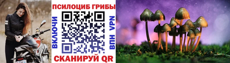 Галлюциногенные грибы мухоморы  даркнет формула  Ряжск 