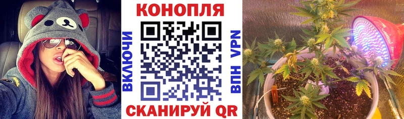 Каннабис MAZAR Ряжск